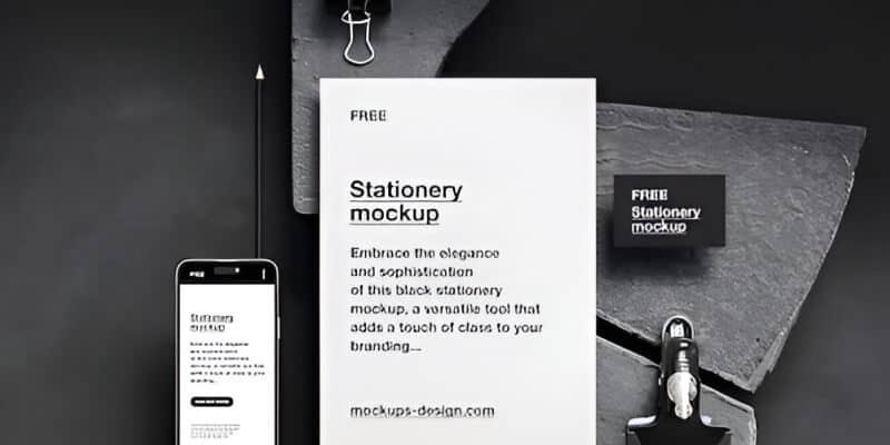 Website Development Solutions - 雷速